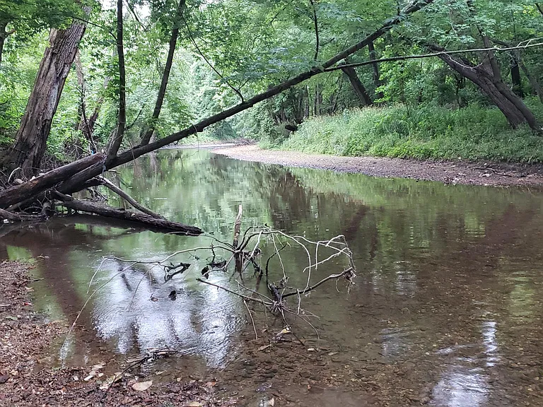 Sodalis Nature Preserve