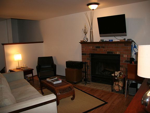 Wood-burning fireplace