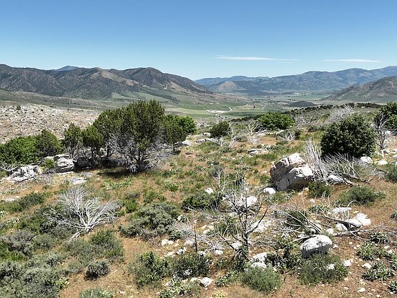 4th image of S Crystal Springs Rd Lot Wp001