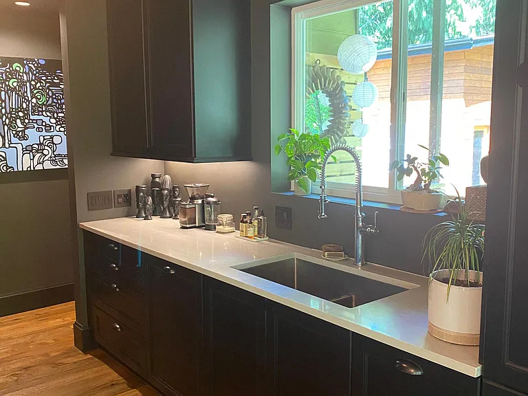 Cabinet-front dishwasher, hands-free (automated) bin drawer and more.