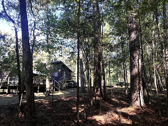 View from wooded lot