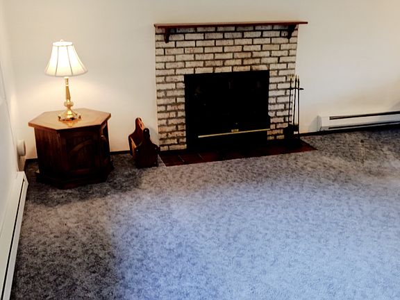 wood burning fireplace