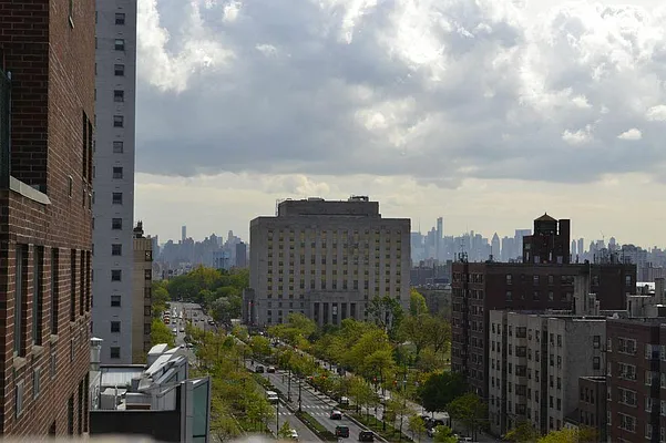 Sold by Douglas Elliman | media 15