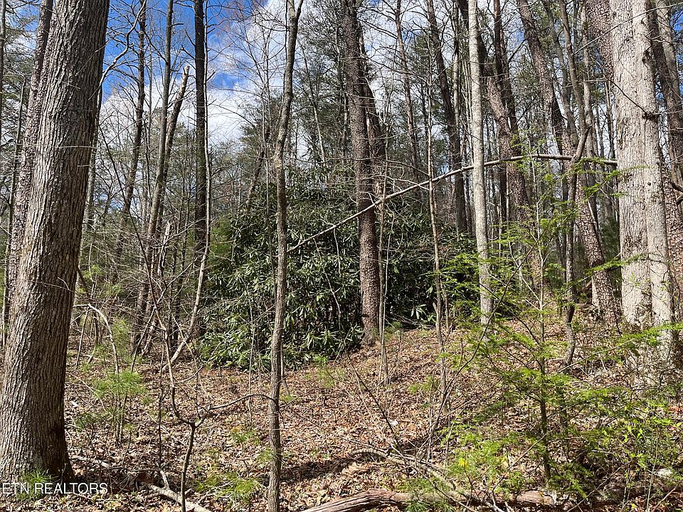 1st image of 1.5 Ac Hwy #68