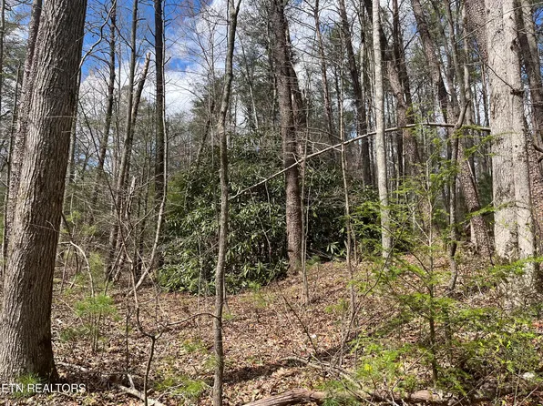 1.5 Ac Hwy #68, Tellico Plains, TN 37385