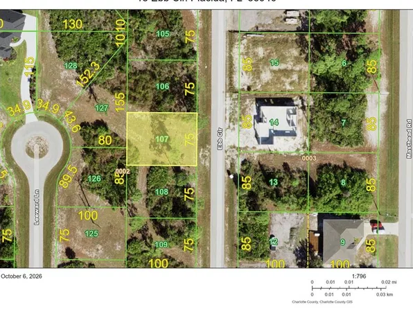 18 EBB CIRCLE LOT 107, PLACIDA, FL 33946