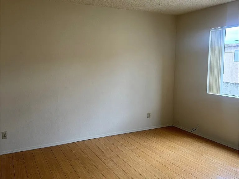 122 Olive St #5 — Photo 3