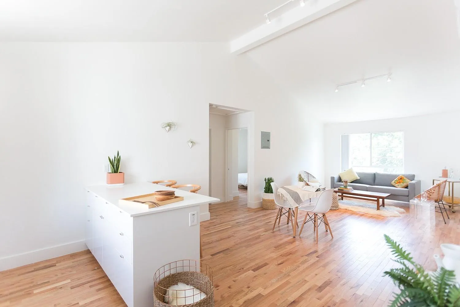 2 bed, 800 sqft, $3,250 — Photo 1