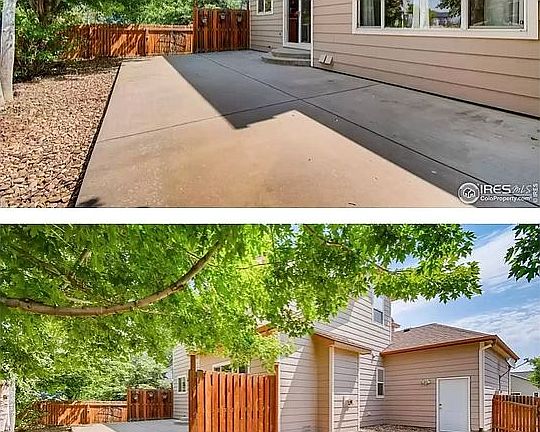 Back yard 