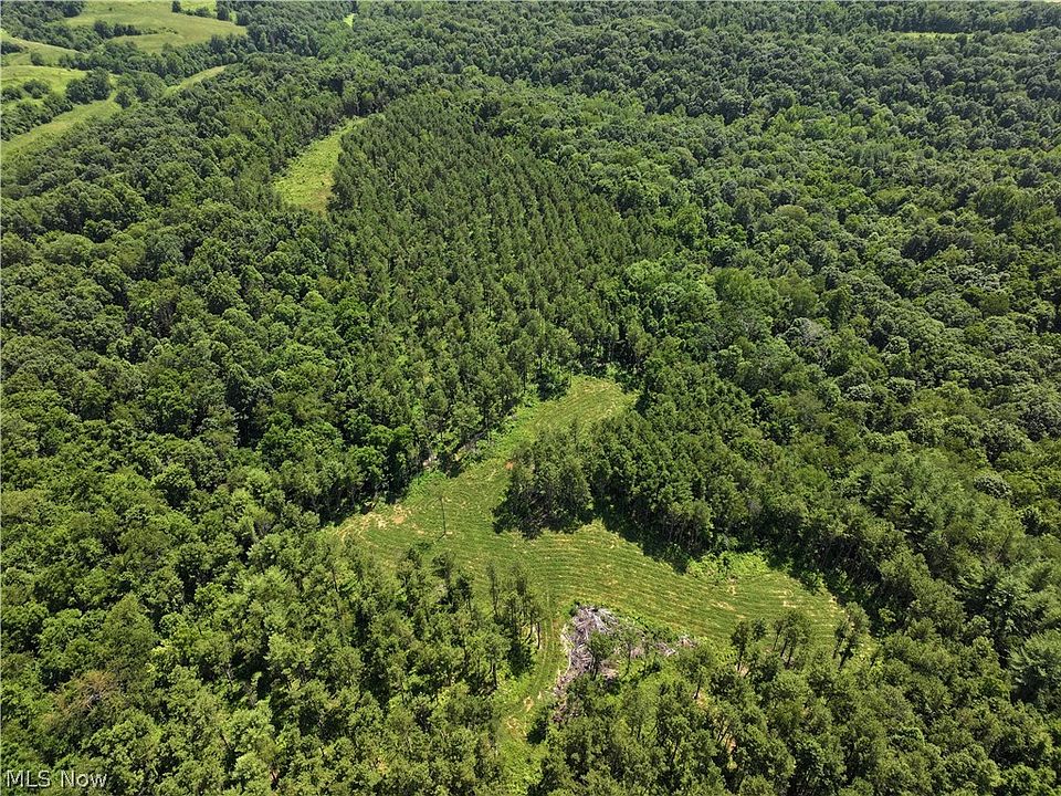 1st image of 0 E Reinersville Rd Tract D