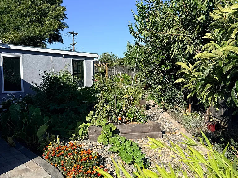 backyard; vegetable target and flower bed
