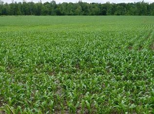 Sec 32 Century Rd, Greenwood, WI 54437