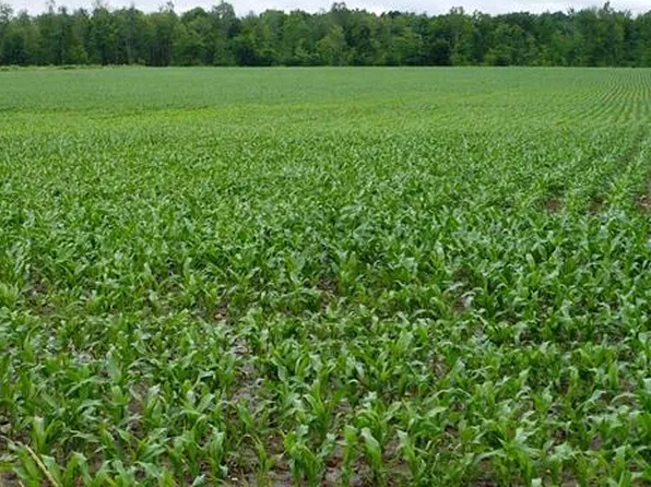 Sec 32 CENTURY ROAD, Greenwood, WI 54437