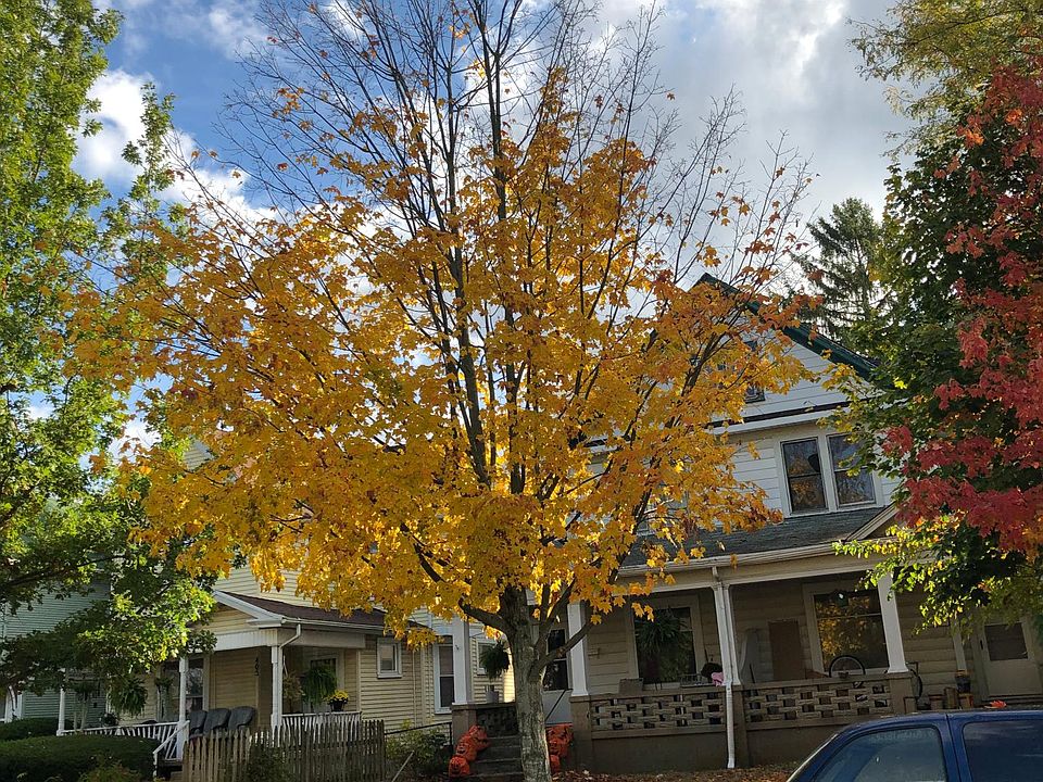 1st image of 411 S 14th St #411