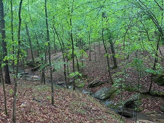 4th image of 145/ACRE S George Smith Rd