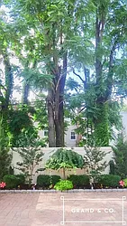 Rented by Grand & Co.