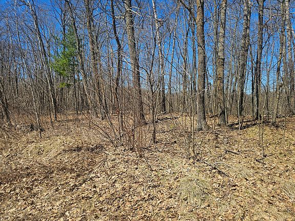 4th image of TRACT Swanson Rd #B