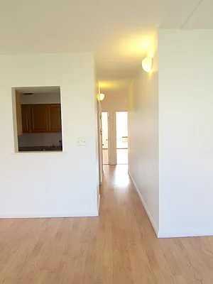 Rented by M. Nelson Realty LLC | media 12