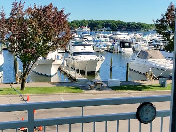 View from the patio!