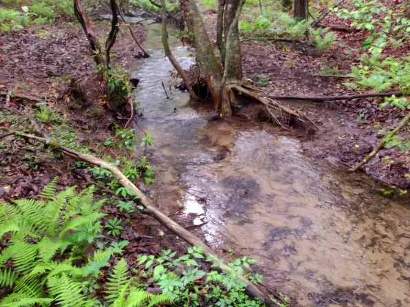 0 State Route 108, Gruetli Laager, TN 37339