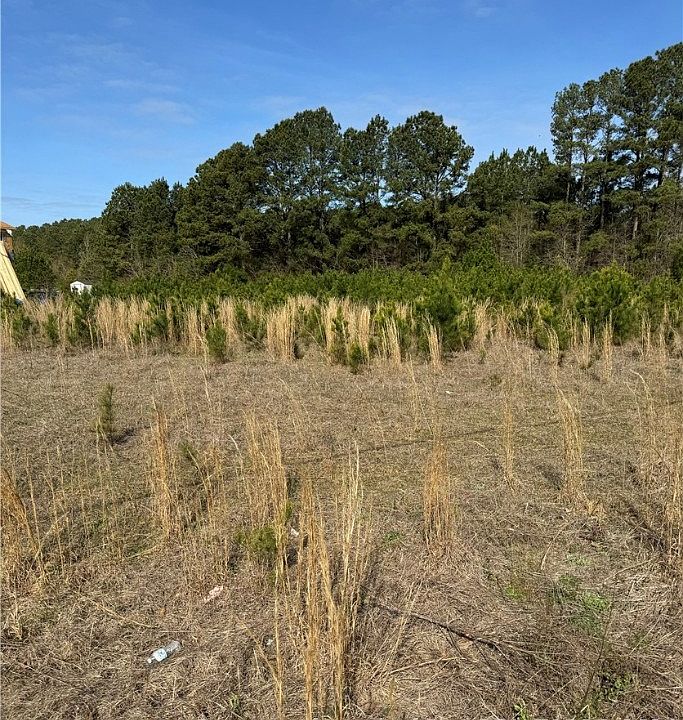 2nd image of 16 Twisted Hickory Rd