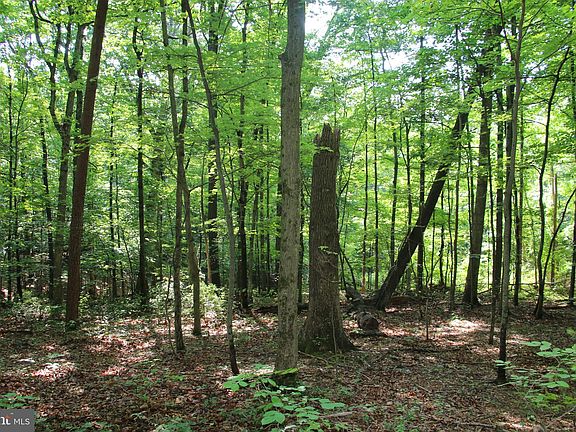 5th image of 3 Mile Bank Ln