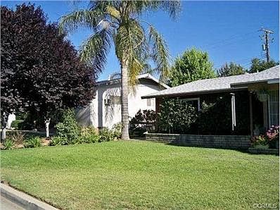 Front view with palm tree