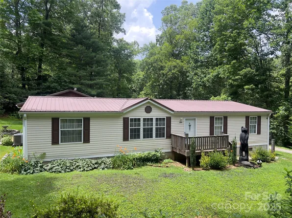 800 Turkey Pen Gap Rd, Horse Shoe, NC 28742