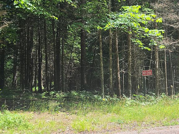 3rd image of N11346 Rocky Carrie Rd
