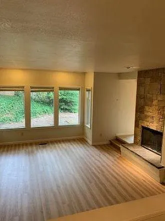 Living room and fireplace