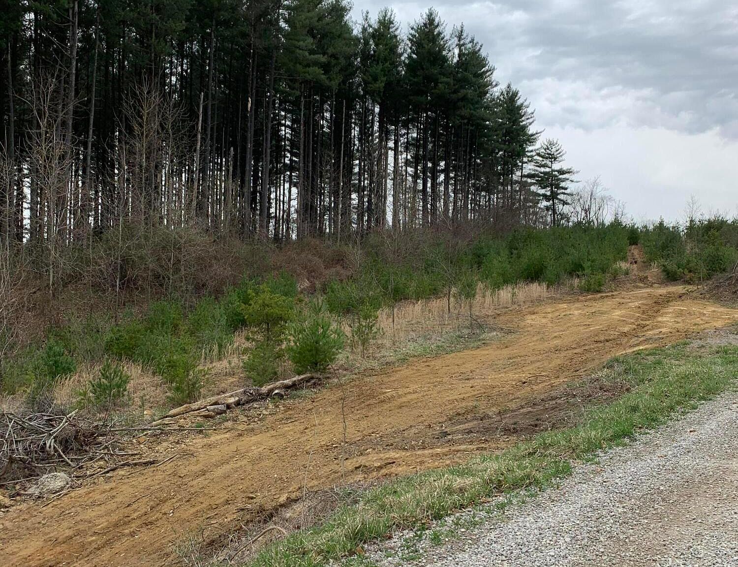 320 N Cunningham St, New Straitsville, OH 43766 Zillow