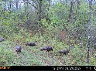 0 Nelson Rd, Lucasville, OH 45648