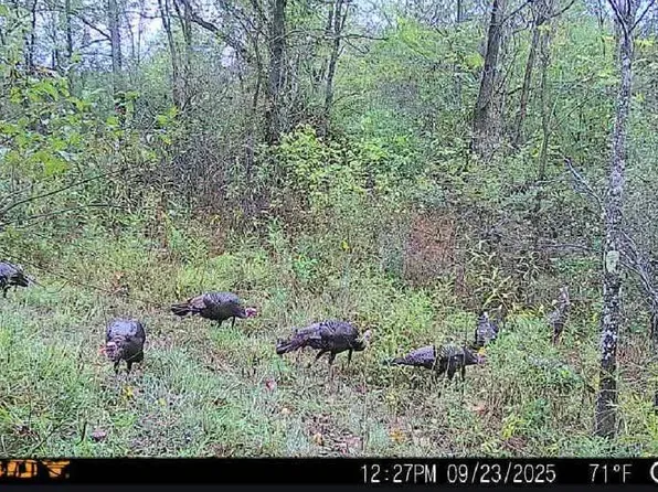 0 Nelson Rd, Lucasville, OH 45648