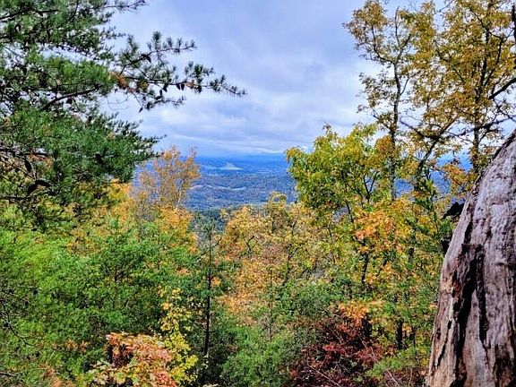 3rd image of 5960 Poor Valley Rd