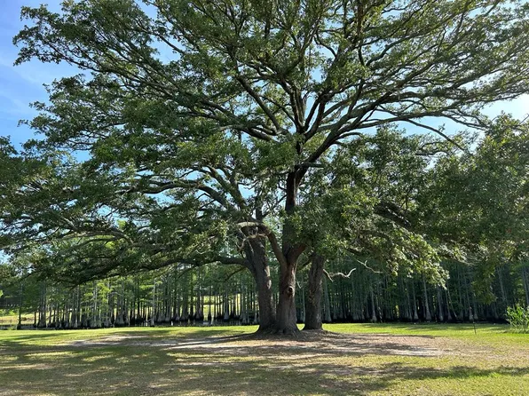 3876 D Hodge Rd #17.14, Cottonwood, AL 36320