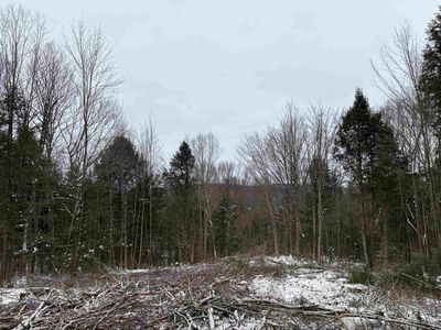 0 Fall Brook Road #4, Lyndonville, VT, 05851