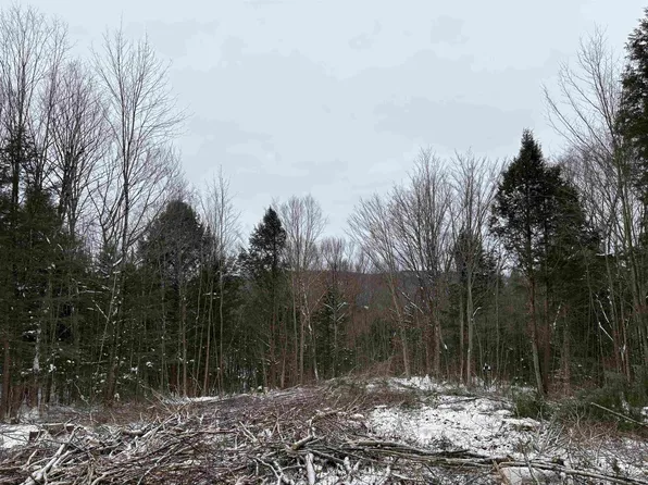 0 Fall Brook Road #4, Wheelock, VT 05851-000