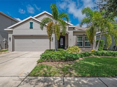 10457 Flagstaff Falls Ave, Riverview, FL, 33578
