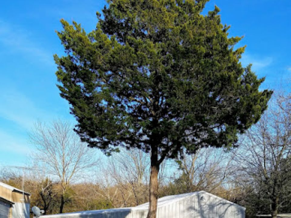 Lg lot backs up to green belt