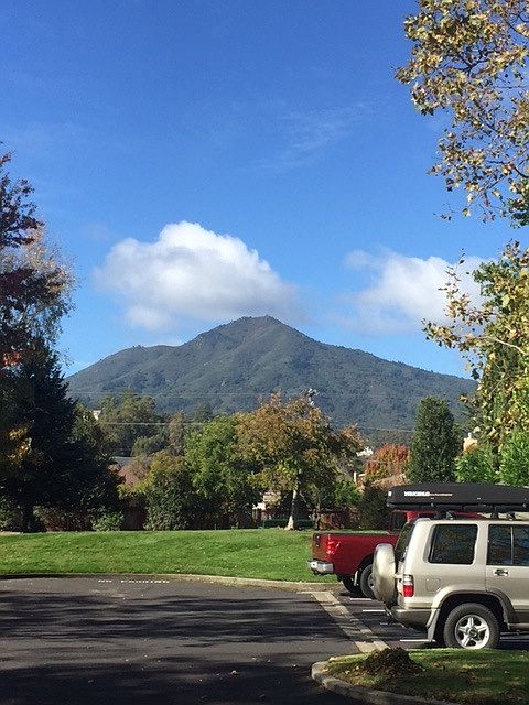 Mt. Tam View from front entrance