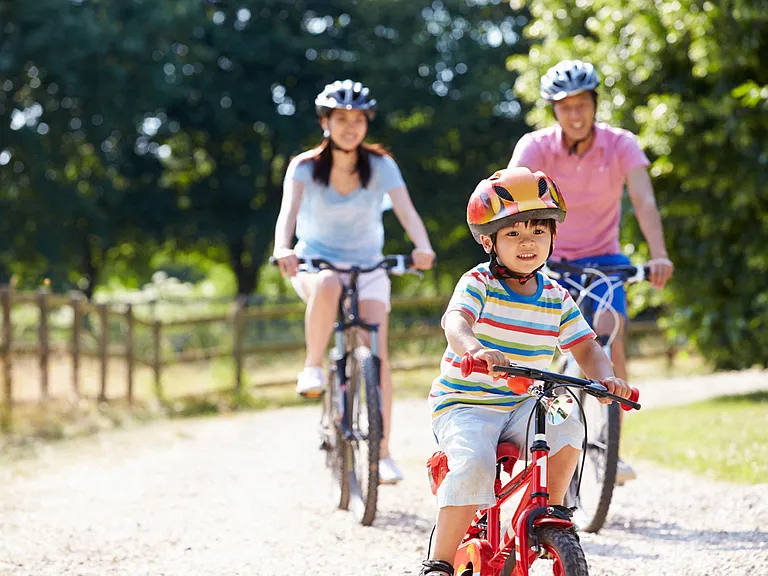 Explore the area by bike