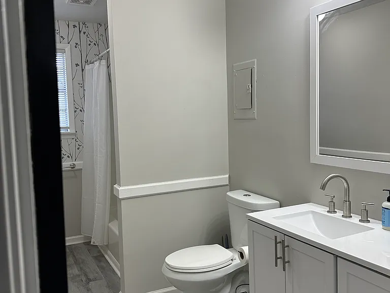 Hall bathroom view 2
