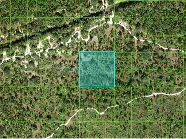 River Ranch Blvd, Lake Wales, FL 33898