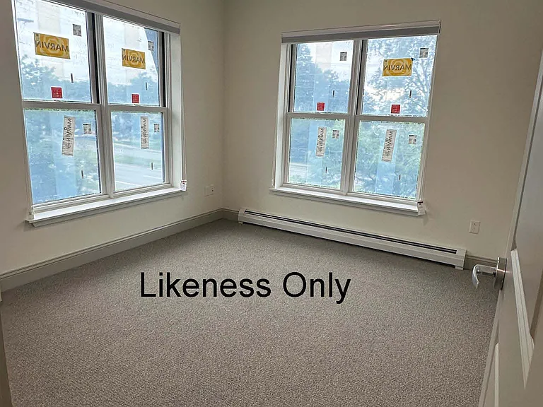 Likeness Only