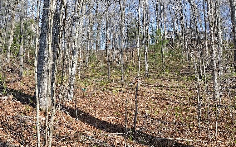 1st image of 9 Beech Cove Vistas