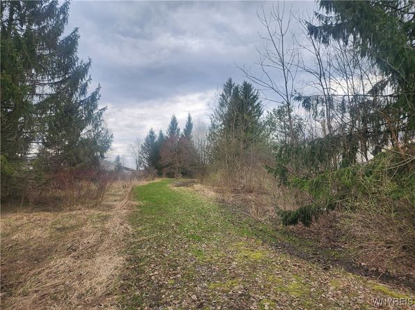Hayes Hollow Rd #35, Colden, NY 14033