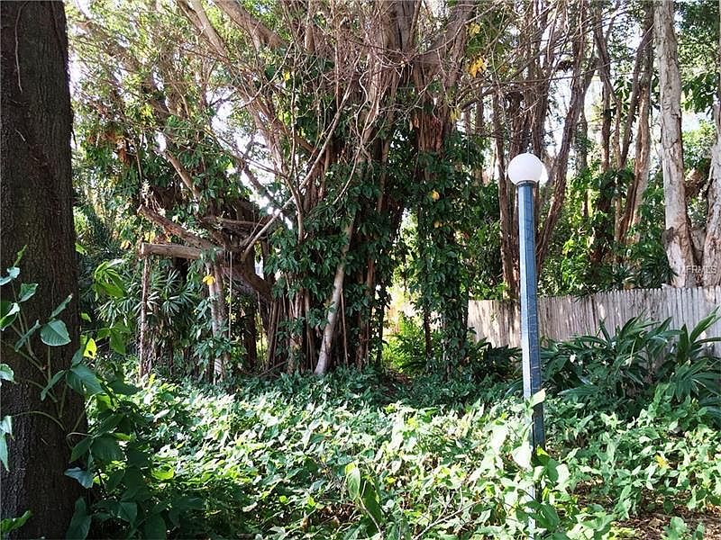 2nd image of 6930 Bougainvilla Ave S
