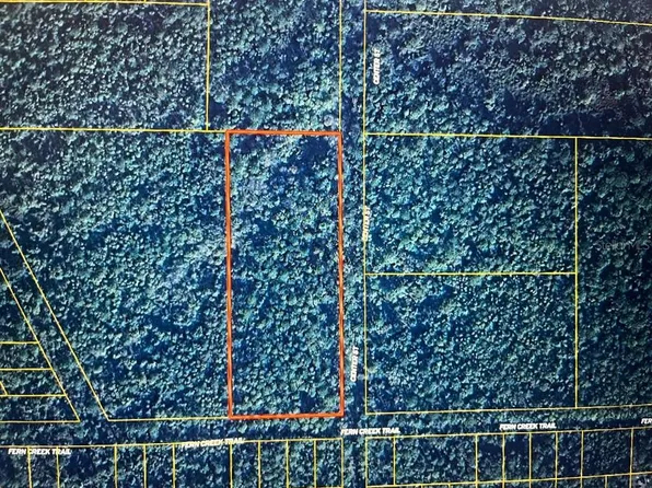 FERN CREEK TRAIL LOT 2, SATSUMA, FL 32189
