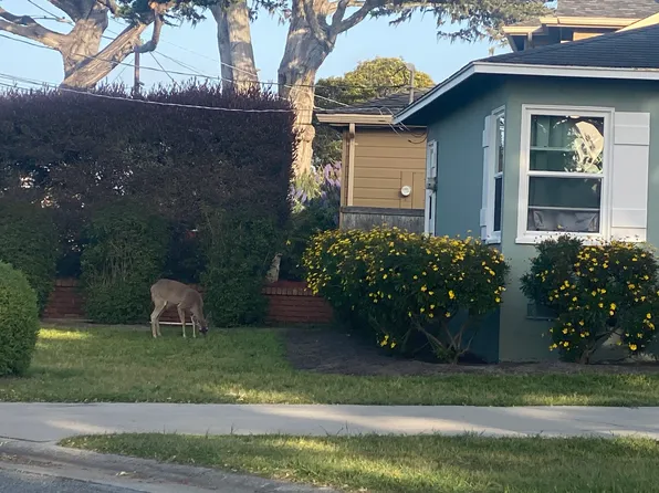 971 Crest Ave, Pacific Grove, CA 93950