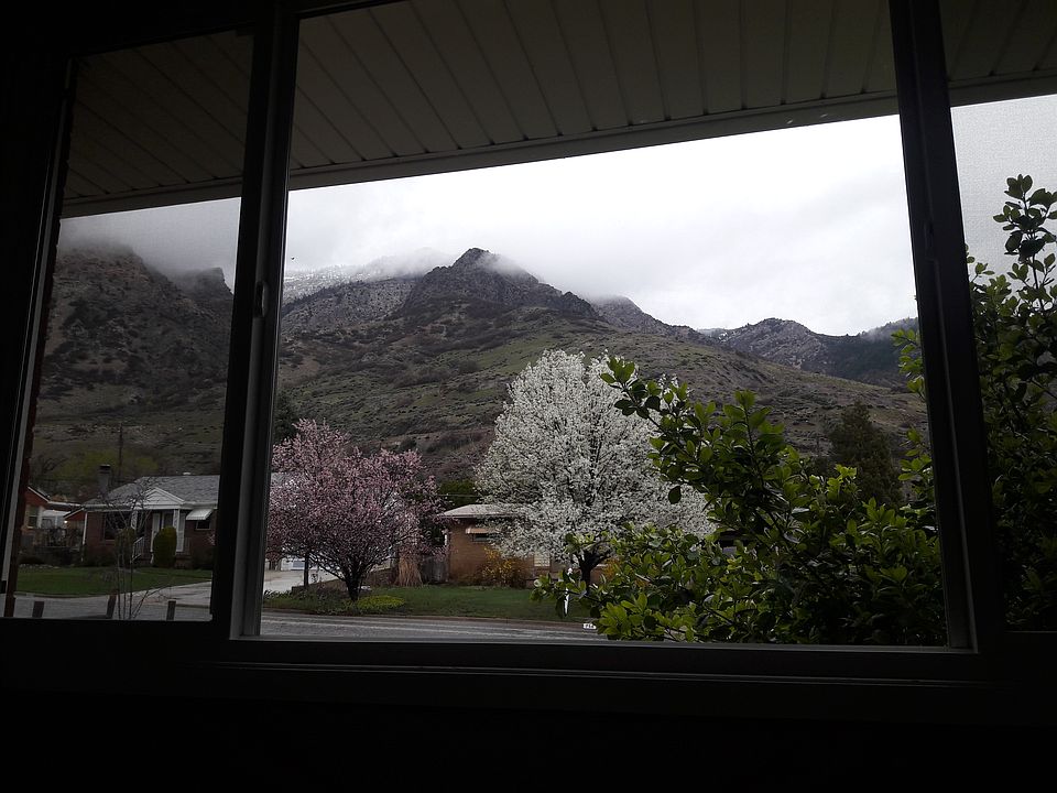 Front window view